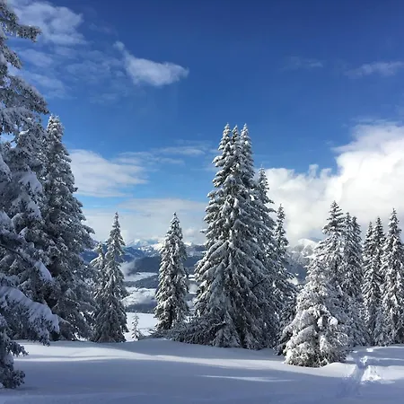 Panorama Almhuette Nockberge * Zodl