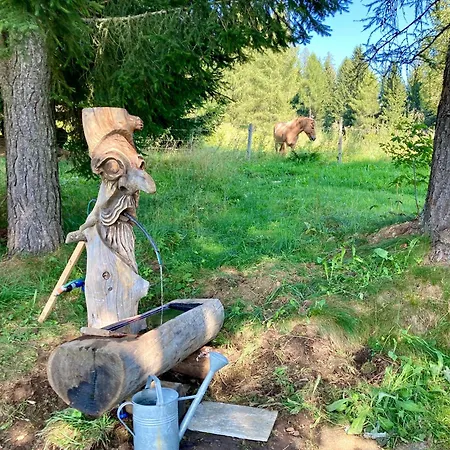 Panorama Almhuette Nockberge 度假居 *